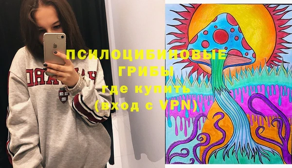 дурь Кинешма