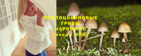 прущий лед Киренск