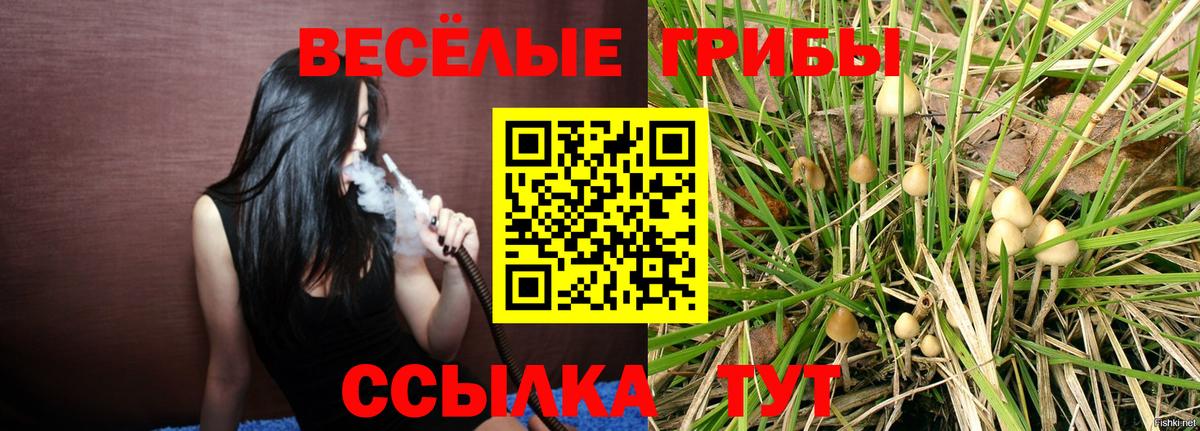 Красноармейск  Псилоцибиновые грибы мицелий  Вход с VPN 